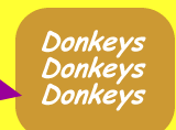 Donkey in other languages